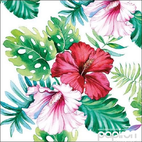 Szalvéta Ambiante Hibiscus Floral White papírszalvéta 33x33cm,20db-os