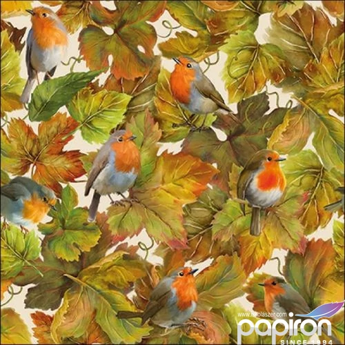 Szalvéta Ambiante Hidden Robins papír papírszalvéta 33x33cm,20db-os