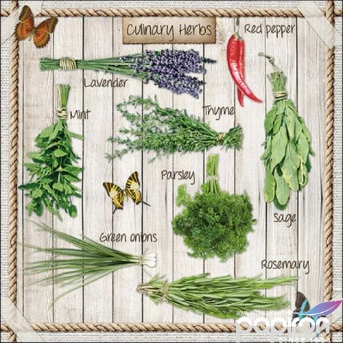 Szalvéta Ambiante Kitchen Herbs papírszalvéta 33x33cm,20db-os