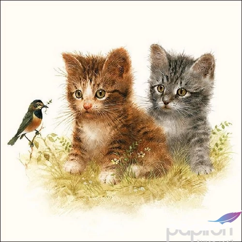 Szalvéta Ambiante Kitten Friends papírszalvéta 33x33cm,20db-os