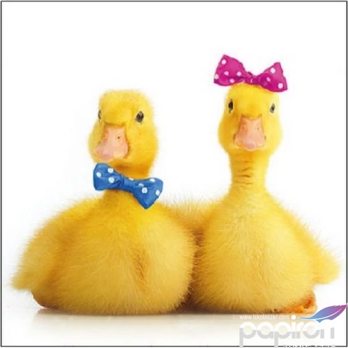 Szalvéta Ambiante Little Ducks papírszalvéta 25x25cm,15db-os