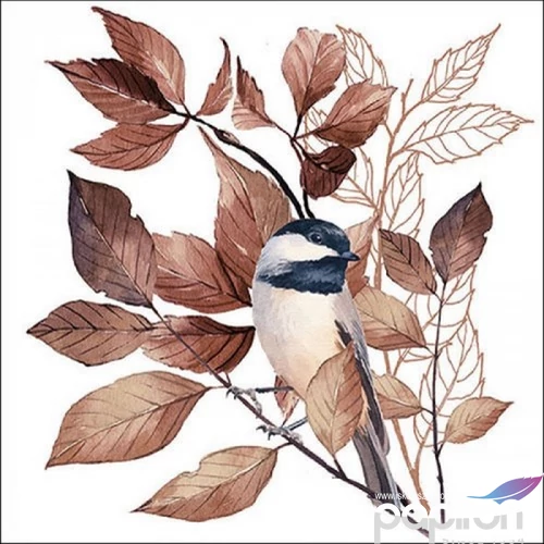Szalvéta Ambiante Lovely chickadee white papírszalvéta 33x33cm,20db-os