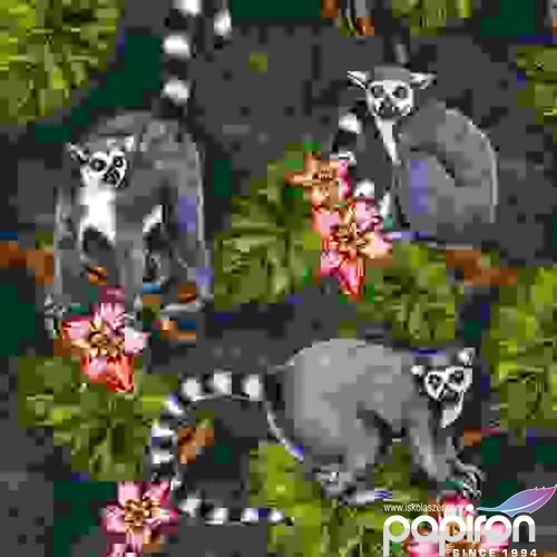 Szalvéta Ambiante Midnight Madagaskar papírszalvéta 33x33cm,20db-os