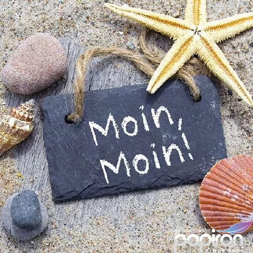 Szalvéta Ambiante Moin Moin papírszalvéta 33x33cm,20db-os