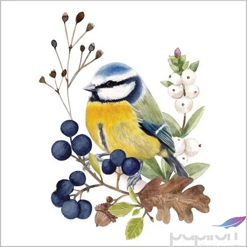 Szalvéta Ambiante Oiseau en Nature papírszalvéta 33x33cm,20db-os