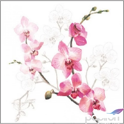 Szalvéta Ambiante Orchid papírszalvéta 25x25cm,15db-os