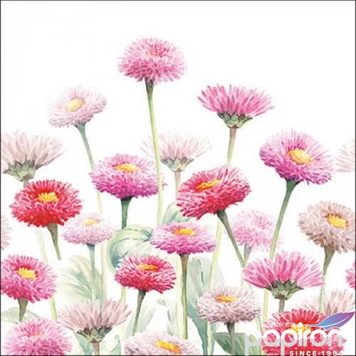 Szalvéta Ambiante Painted Bellis papírszalvéta 33x33cm,20db-os