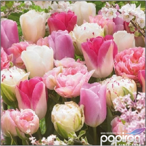 Szalvéta Ambiante Pink Tulips papírszalvéta 25x25cm,15db-os