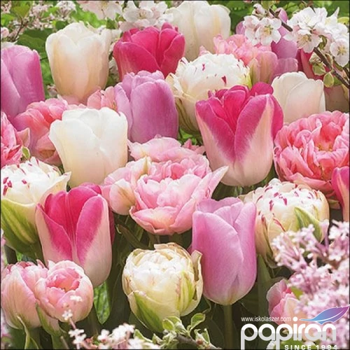 Szalvéta Ambiante Pink Tulips papírszalvéta 33x33cm,20db-os