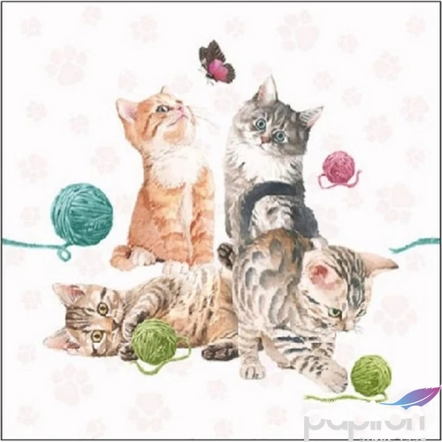 Szalvéta Ambiante Playing Kitten papírszalvéta 25x25cm,15db-os