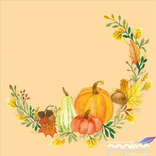 Szalvéta Ambiante Pumpkin Flair papírszalvéta 33x33cm,20db-os