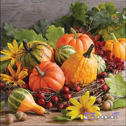 Szalvéta Ambiante Pumpkin varieties papírszalvéta 33x33cm,20db-os