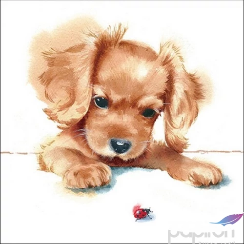 Szalvéta Ambiante Puppy 