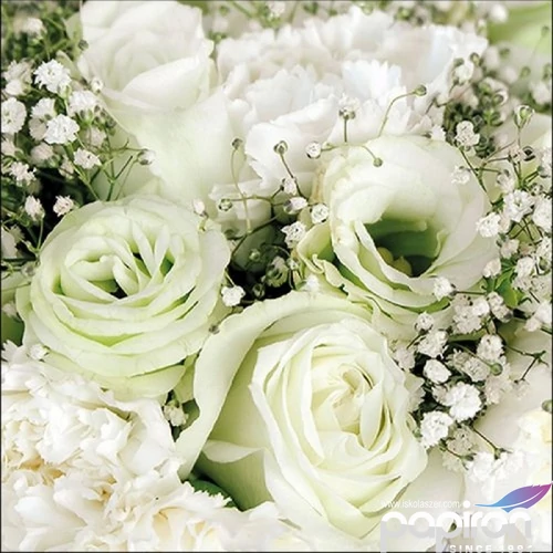 Szalvéta Ambiante Roses Bouquet papírszalvéta 33x33cm,20db-os