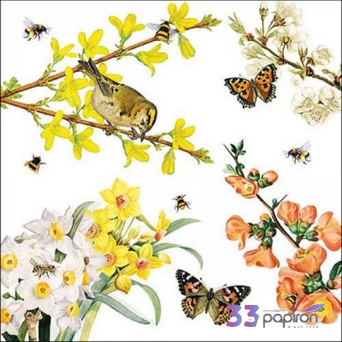 Szalvéta Ambiante Spring awakening papírszalvéta 33x33cm,20db-os