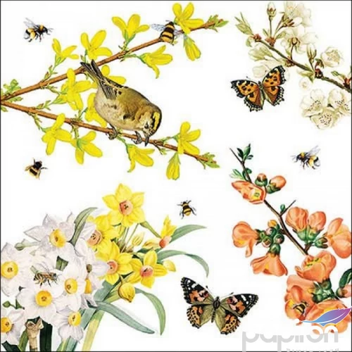 Szalvéta Ambiante Spring awakening papírszalvéta 33x33cm,20db-os