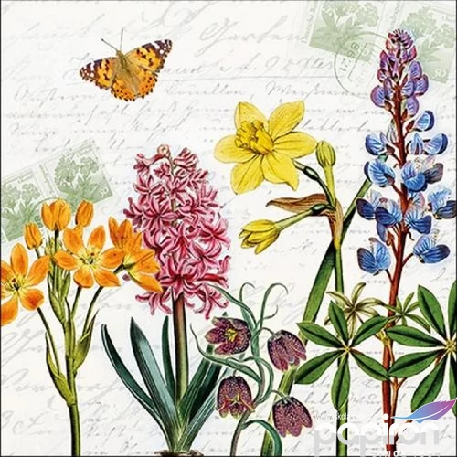 Szalvéta Ambiante Spring Flowers papírszalvéta 33x33cm,20db-os