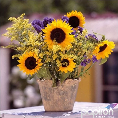Szalvéta Ambiante Sunflower Bouquet papírszalvéta 33x33cm,20db-os