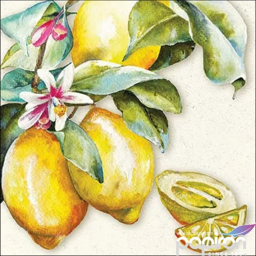 Szalvéta Ambiante Sunny lemon papírszalvéta 33x33cm,20db-os