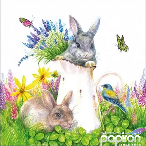 Szalvéta Ambiante Young Rabbits papírszalvéta 33x33cm,20db-os