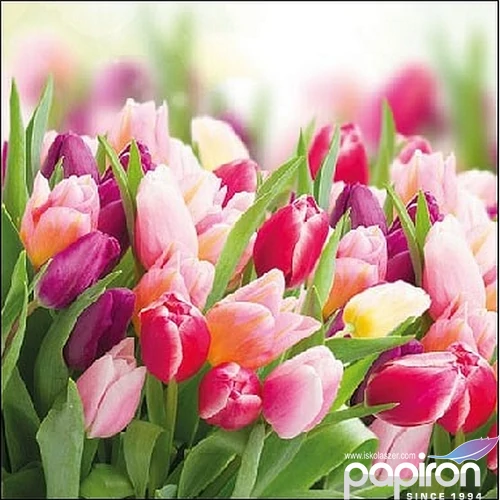 Szalvéta Ambiante Glorious Tulips papírszalvéta 25x25cm,15db-os