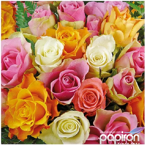 Szalvéta Ambiante Colourful Roses papírszalvéta 33x33cm,20db-os