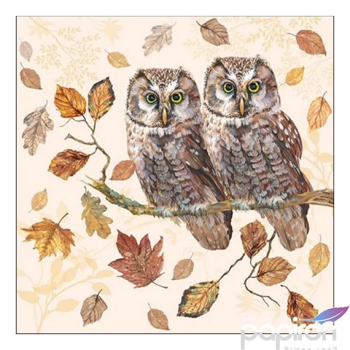 Szalvéta Ambiante Owl Couple papírszalvéta 33x33cm,20db-os