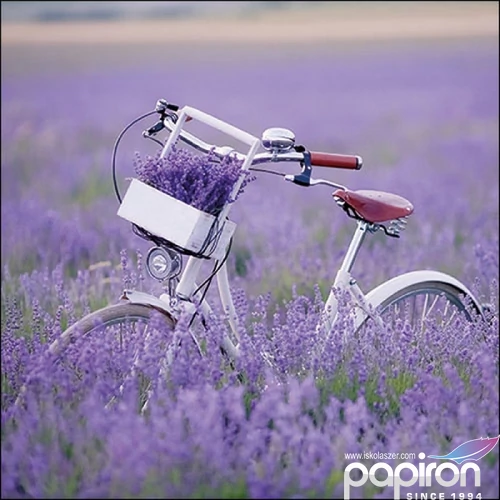 Szalvéta Ambiante Bike In Lavender Fiedl papír papírszalvéta 33x33cm,20db-os