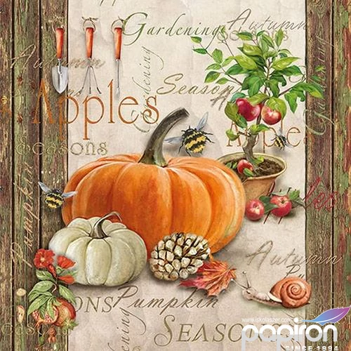 Szalvéta Ambiante Autumn Gardening papírszalvéta 33x33cm,20db-os