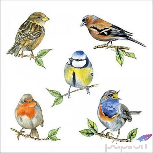 Szalvéta Ambiente bird love 33x33 3rétegű 20db/csomag 13318135