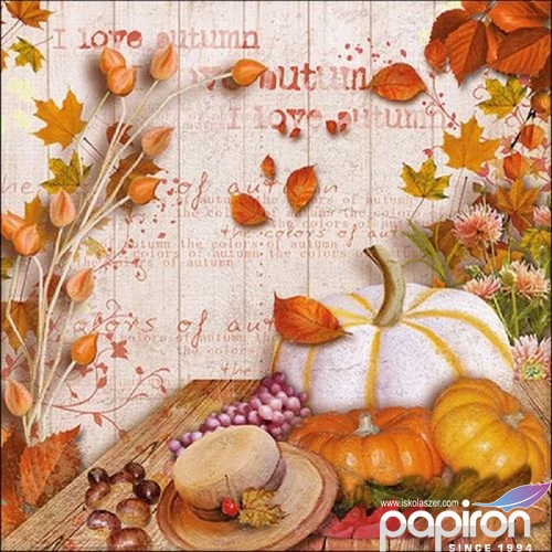 Szalvéta Ambiante Colours Of Autumn papír papírszalvéta 33x33cm,20db-os