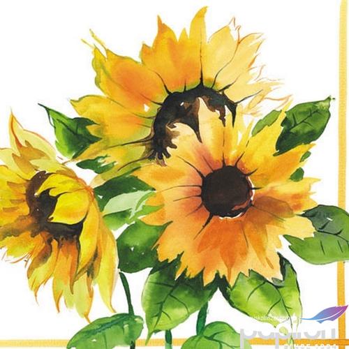 Szalvéta Ambiente Girasoli 25x25cm 3rétegű 20db/csomag 12506555 szalvéta