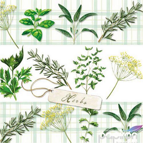 Szalvéta Ambiante Herbs papírszalvéta 33x33cm,20db-os
