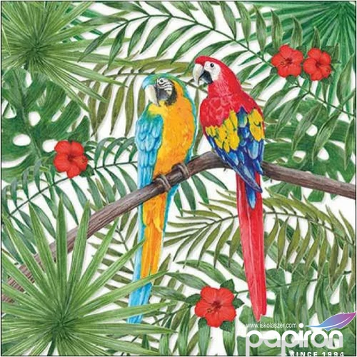 Szalvéta Ambiante Parrots papírszalvéta 33x33cm,20db-os