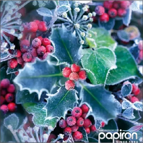 Szalvéta Ambiente karácsonyi 25x25cm 3rétegű, 20db/csomag Frozen Holly