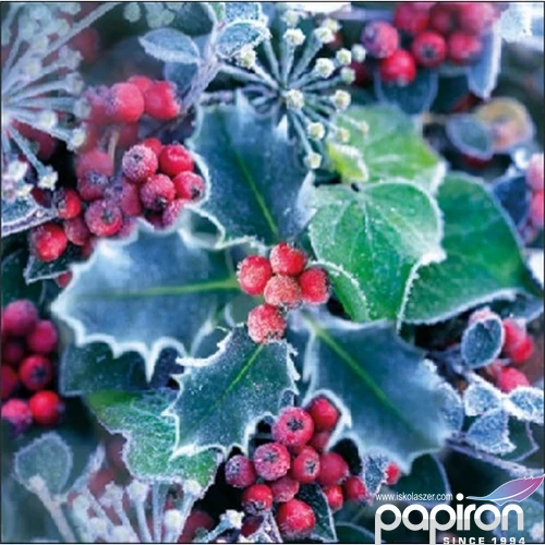 Szalvéta Ambiante Frozen Holly papír papírszalvéta 25x25cm,15db-os