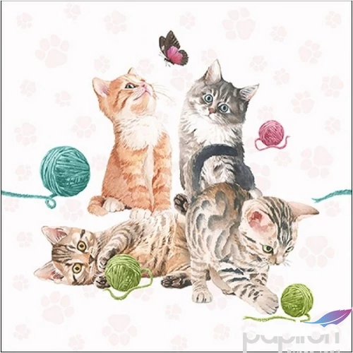 Szalvéta Ambiante Playing Kitten papírszalvéta 33x33cm,20db-os