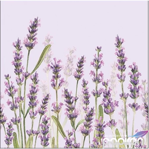 Szalvéta Ambiante Lavender Shade lila papírszalvéta 33x33cm,20db-os