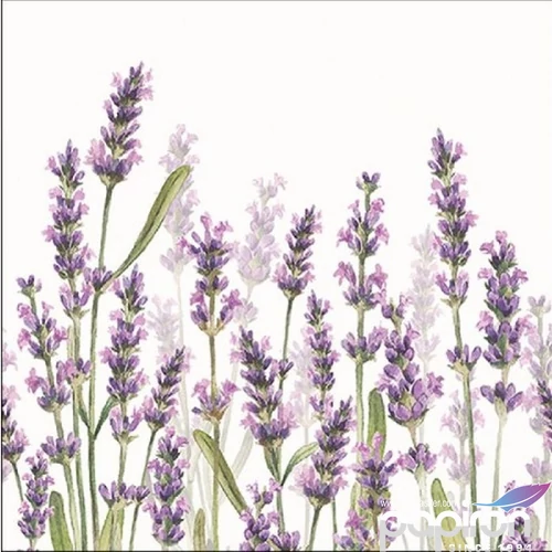 Szalvéta Ambiante Lavender Shade White papírszalvéta 33x33cm,20db-os