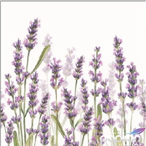 Szalvéta Ambiante Lavender Shades white papírszalvéta 25x25cm,15db-os