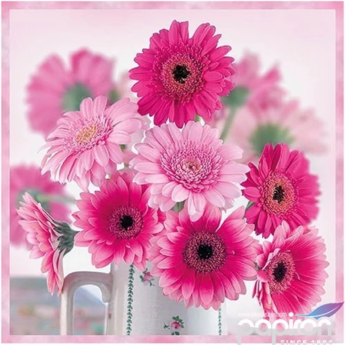 Szalvéta Ambiante Pink Gerberas papírszalvéta 33x33cm,20db-os