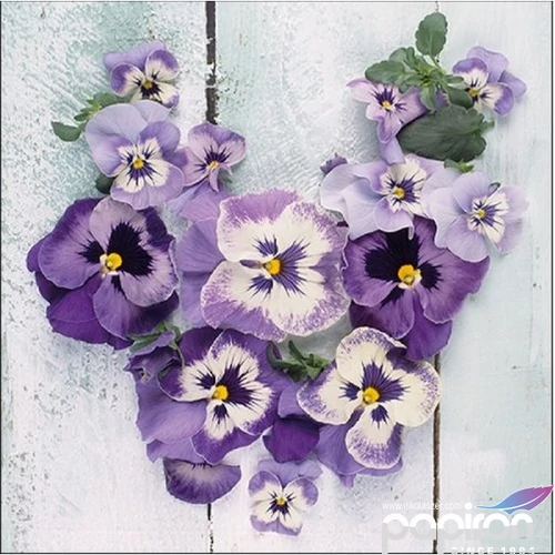 Szalvéta Ambiante Pansy Heart papírszalvéta 33x33cm,20db-os