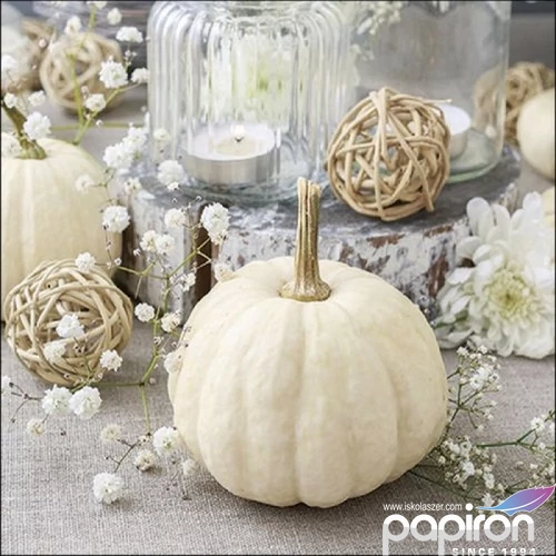 Szalvéta Ambiante Modern Pumpkin papírszalvéta 33x33cm,20db-os