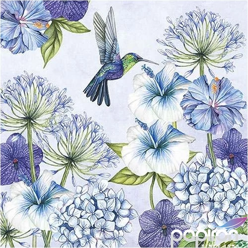 Szalvéta Ambiante Hummingbird papírszalvéta 33x33cm,20db-os