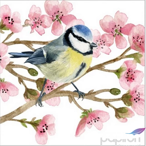 Szalvéta Ambiente Oiseau Printemps papírszalvéta 25x25cm,20db-os