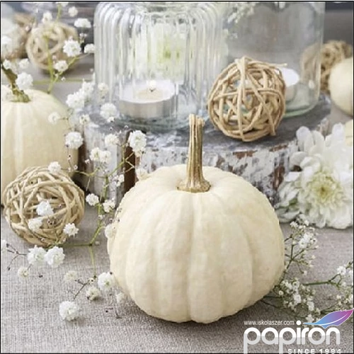 Szalvéta Ambiante Modern Pumpkin papírszalvéta 25x25cm,15db-os