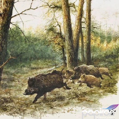 Szalvéta Ambiante Widl Boars in the Woods papírszalvéta 33x33cm,20db-os