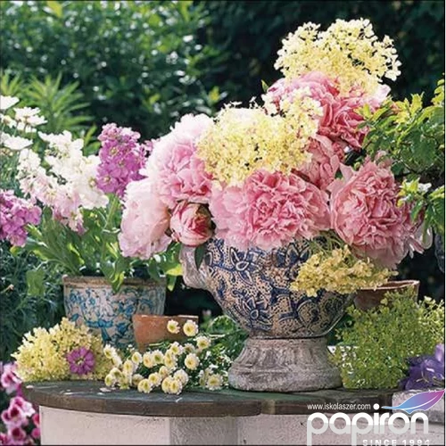 Szalvéta Ambiante Potted flowers papírszalvéta 33x33cm,20db-os