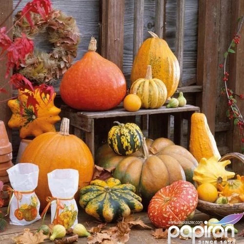 Szalvéta Ambiente Pumkins Picture 33x33cm, 20lapos 3rétegű 13309605 szalvéta.