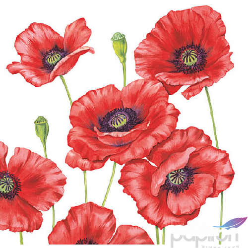 Szalvéta Ambiante Romantic Poppy papírszalvéta 33x33cm,20db-os